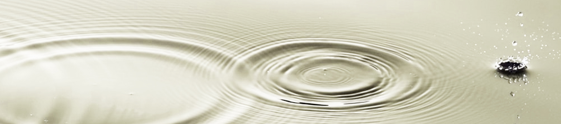 Samsara coaching - Over mij divider